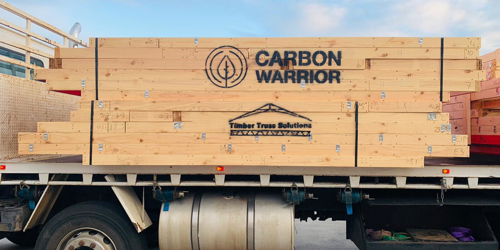 Carbon Warrior 8